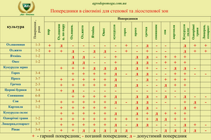 Попередники в сівозміні фото